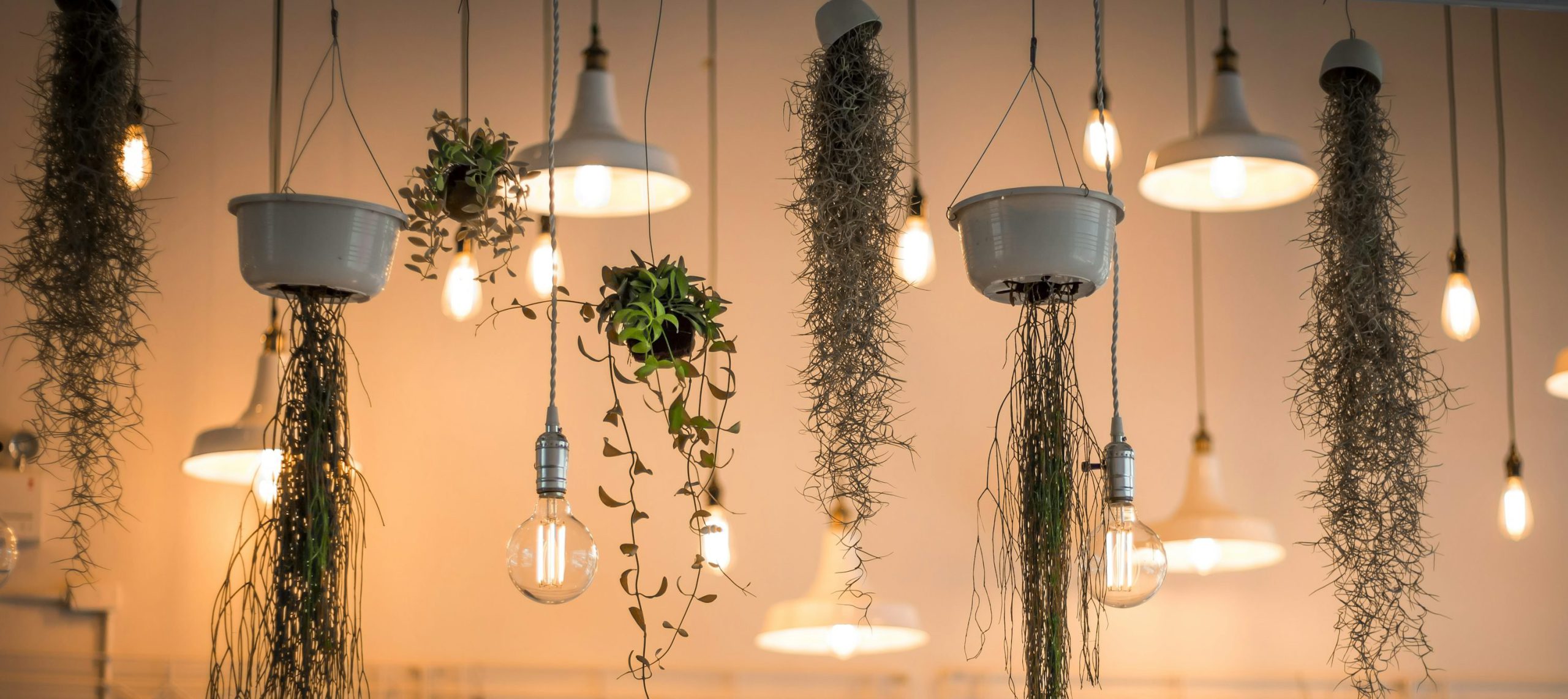 Brilliance Delivered in Every Light